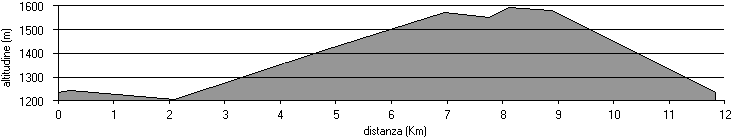 altimetria