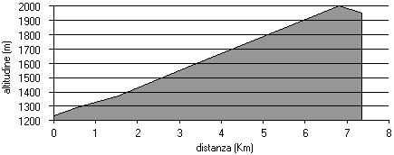 altimetria