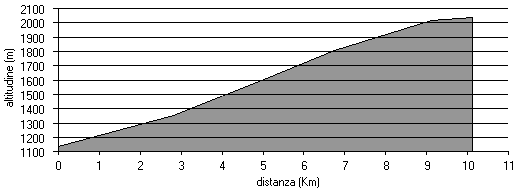 altimetria