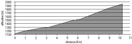 altimetria