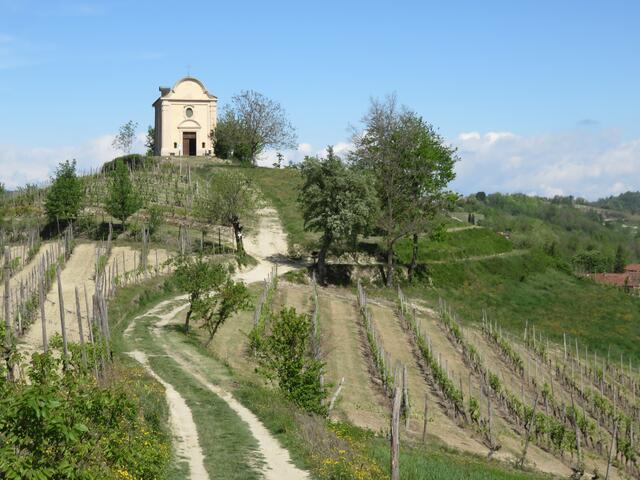 Cammino di Don Bosco